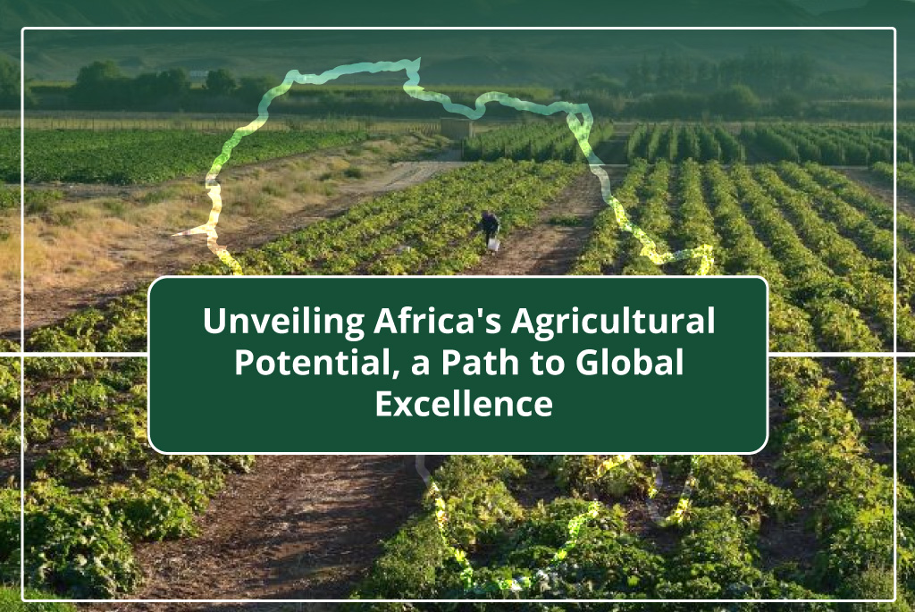 Unveiling Africa’s Agricultural Potential, a Path to Global Agricultural Excellence