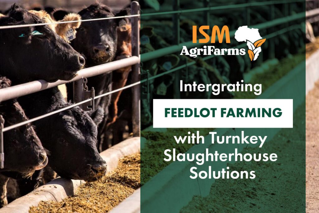 Integrating Feedlot Farming with Turnkey Slaughterhouse Solutions by ISM Agrifarms
