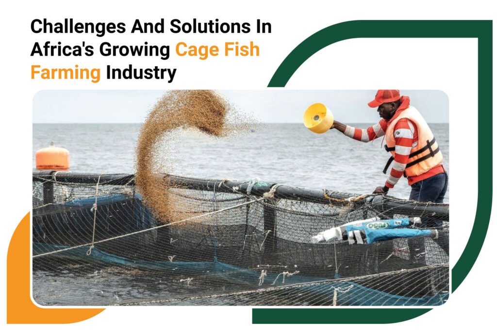 Challenges and Solutions in Africa’s Growing Cage Fish Farming Industry