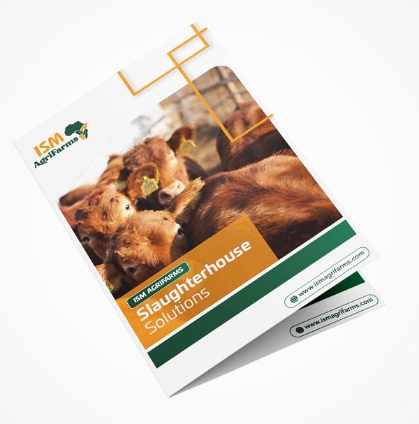 Free_US_Half_Fold_Brochure