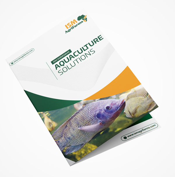 Free_US_Half_Fold_Brochure_Mockup_4