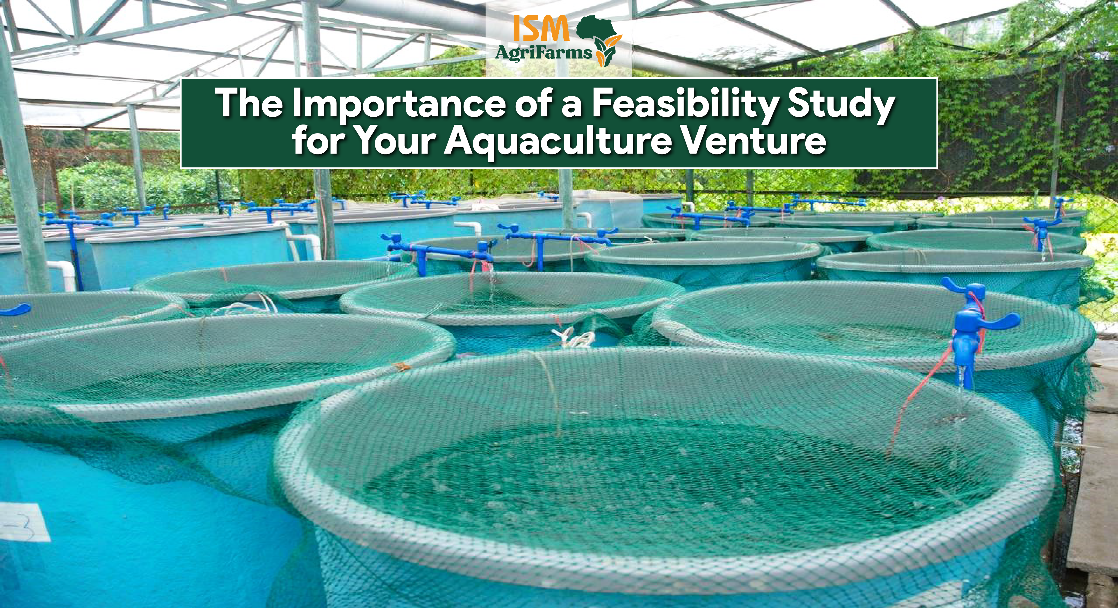 The Importance of a Feasibility Study for Your Aquaculture Venture