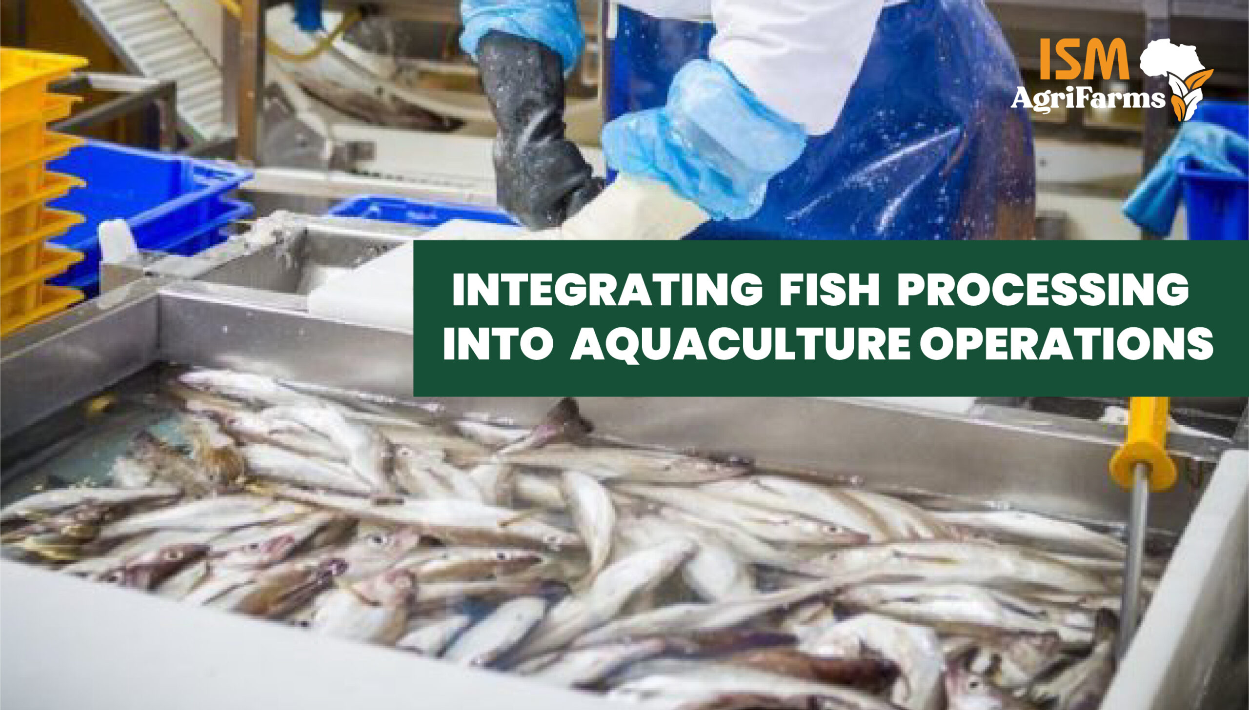 Integrating Fish Processing into Aquaculture Operations